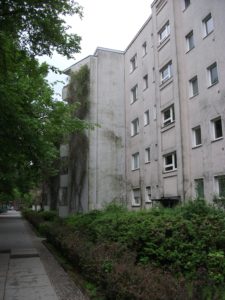 Nordseite Bäume Schatten